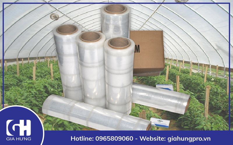 Màng PE nhà kính có gì đặc biệt? Màng PE nhà kính có gì đặc biệt?